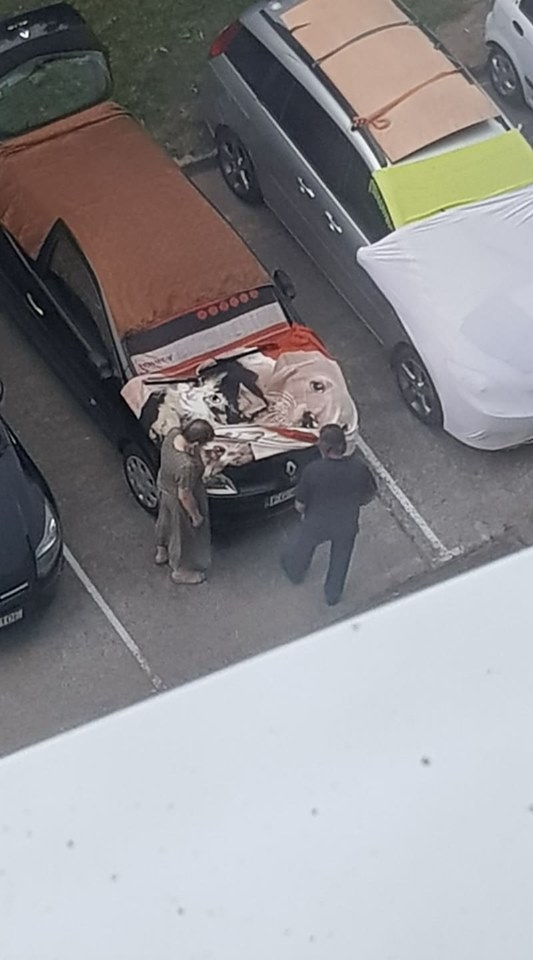 6/19 Samochody zabezpieczone przed gradem