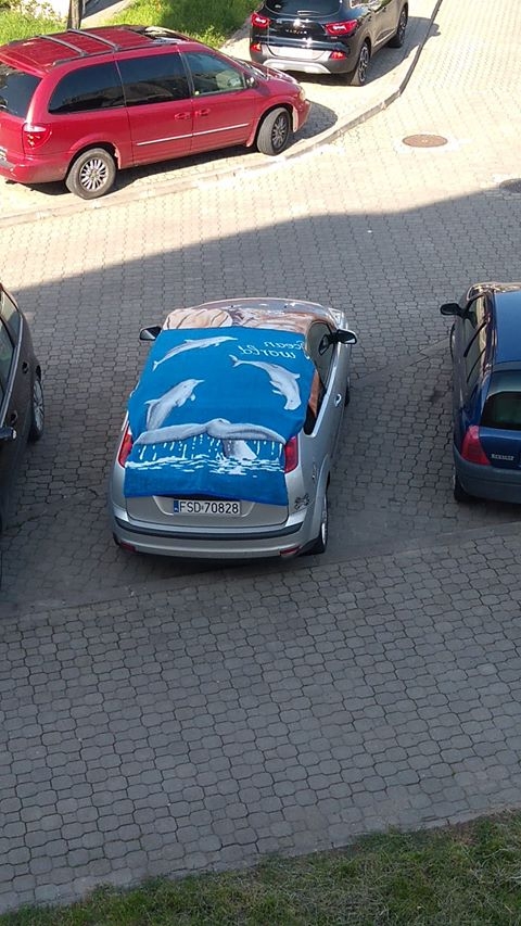 10/19 Samochody zabezpieczone przed gradem