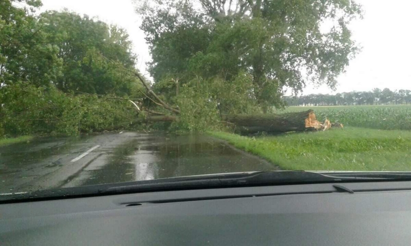 1/5 Burza z gradem nad Gorzowem