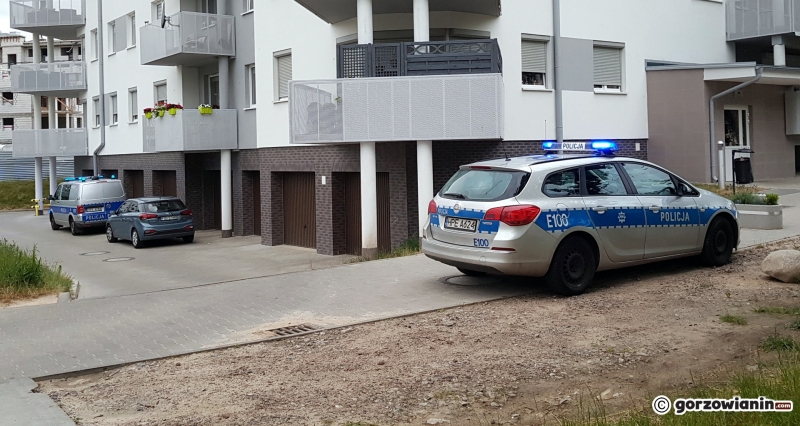 4/6 Akcja policji na osiedlu Europejskim