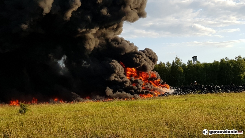 5/17 Pożar w Wojcieszycach
