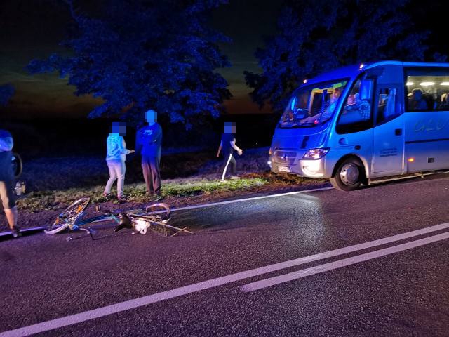 4/8 Pijany rowerzysta na DK22