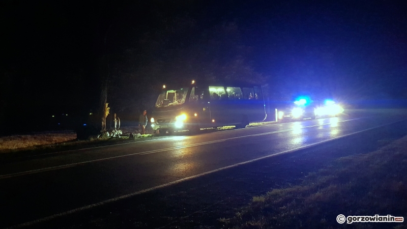 6/8 Pijany rowerzysta na DK22