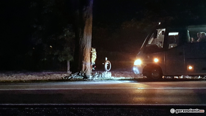 8/8 Pijany rowerzysta na DK22