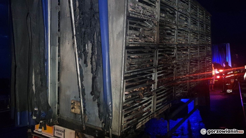 4/13 Na S3 spłonęły indyki