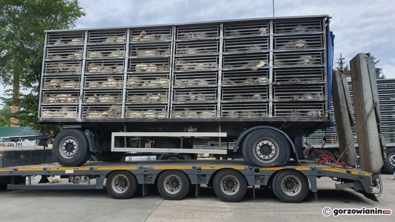 5/13 Na S3 spłonęły indyki