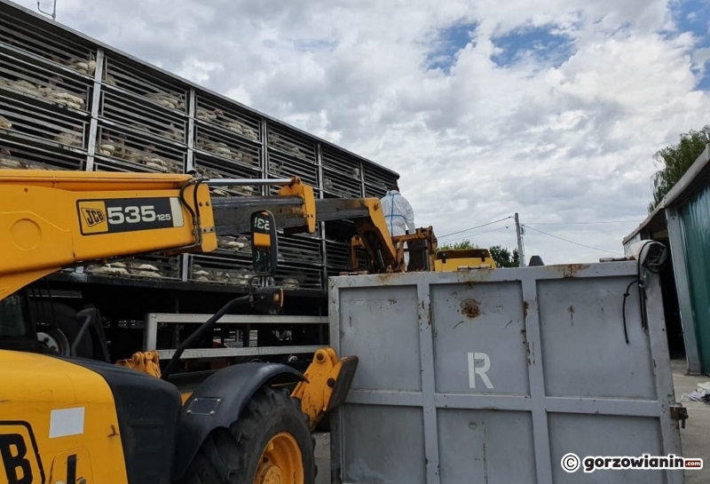 9/13 Na S3 spłonęły indyki