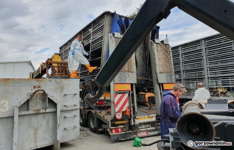 13/13 Na S3 spłonęły indyki