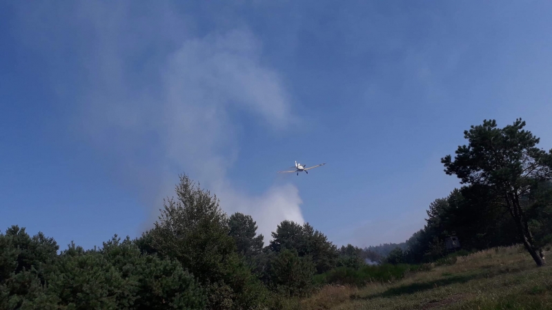 1/10 Pożar lasu w Marwicach i Santocku