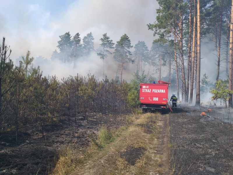 3/10 Pożar lasu w Marwicach i Santocku
