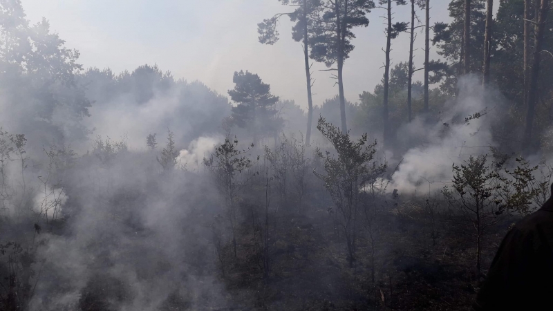 4/10 Pożar lasu w Marwicach i Santocku