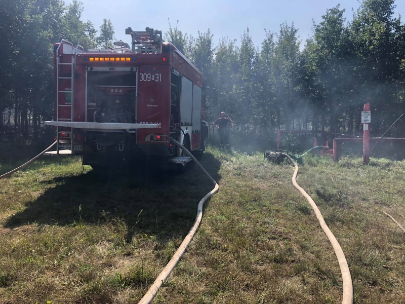 5/10 Pożar lasu w Marwicach i Santocku