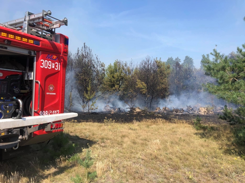 7/10 Pożar lasu w Marwicach i Santocku