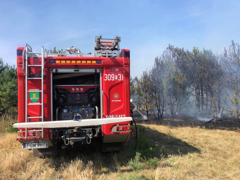 9/10 Pożar lasu w Marwicach i Santocku