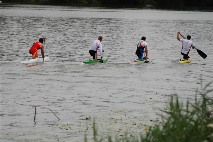 41/96 ME Seniorów i Juniorów w Maratonie - St Jean De Losne (Francja)