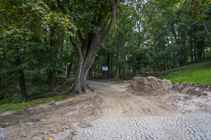 3/11 Prace w parku Siemiradzkiego