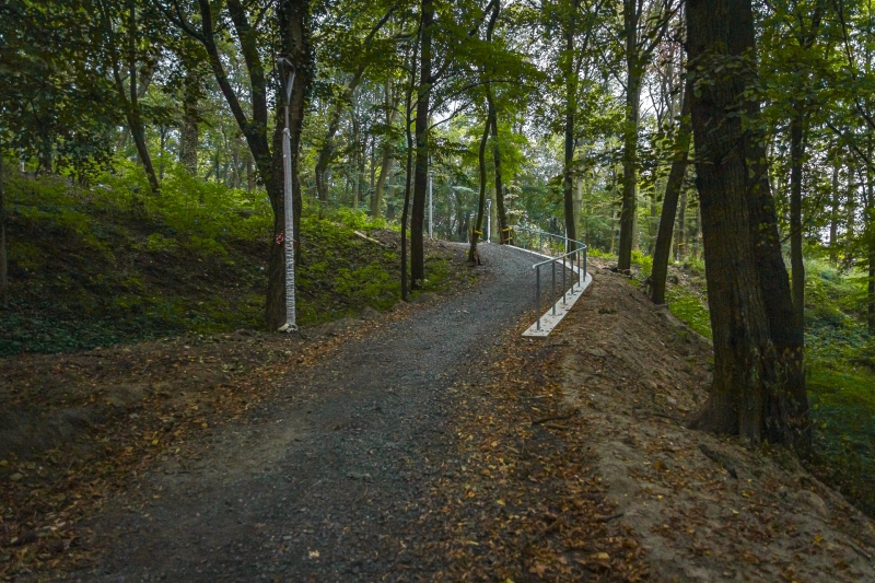 6/11 Prace w parku Siemiradzkiego