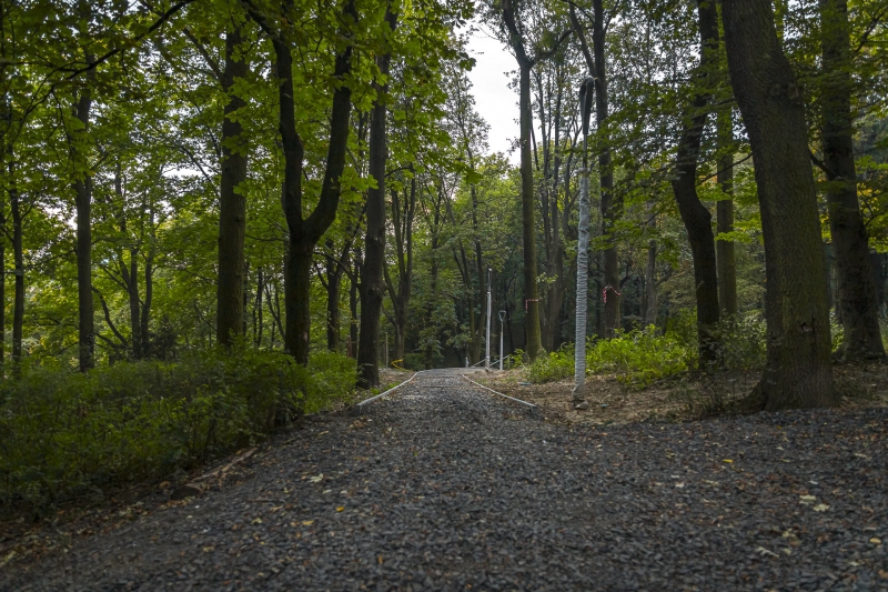 10/11 Prace w parku Siemiradzkiego