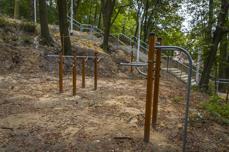 11/11 Prace w parku Siemiradzkiego