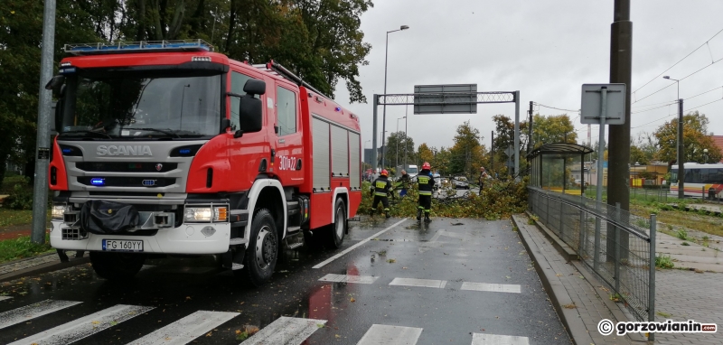 1/14 Przez Gorzów przeszła wichura