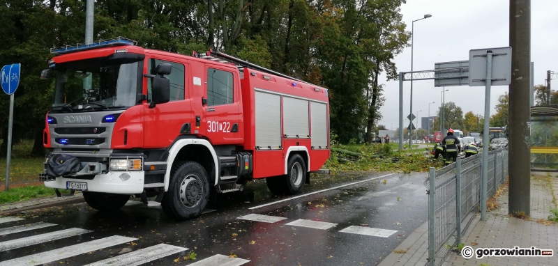 2/14 Przez Gorzów przeszła wichura