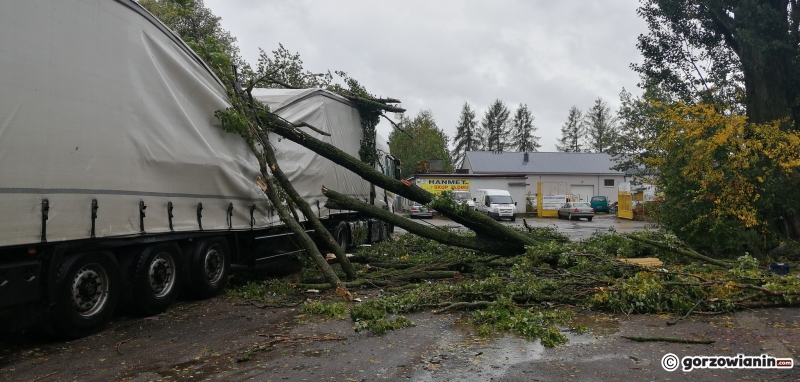 5/14 Przez Gorzów przeszła wichura