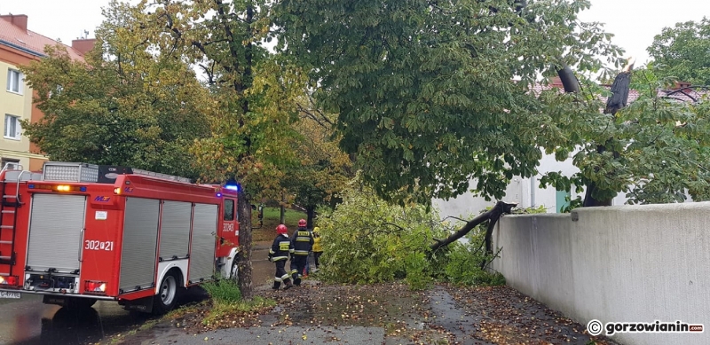 6/14 Przez Gorzów przeszła wichura