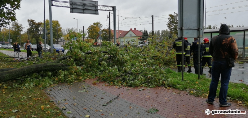 8/14 Przez Gorzów przeszła wichura
