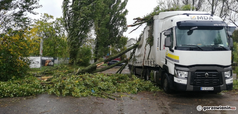 10/14 Przez Gorzów przeszła wichura