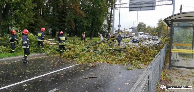 11/14 Przez Gorzów przeszła wichura