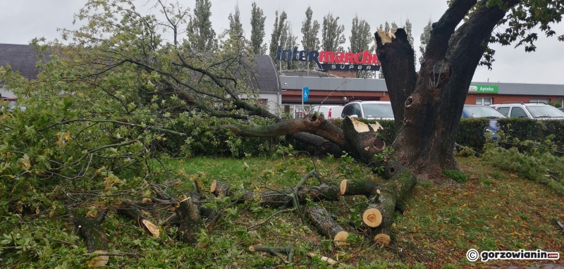 12/14 Przez Gorzów przeszła wichura