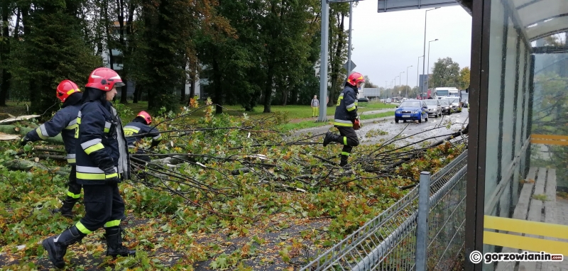 14/14 Przez Gorzów przeszła wichura
