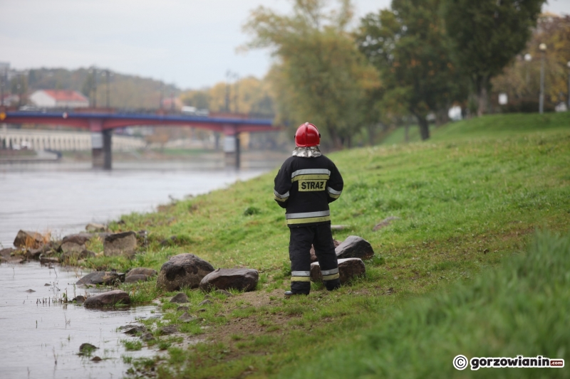 11/15 Poszukiwania mężczyzny, który wskoczył do Warty