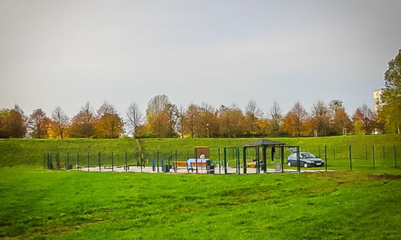 3/5 Psia polana w parku Górczyńskim