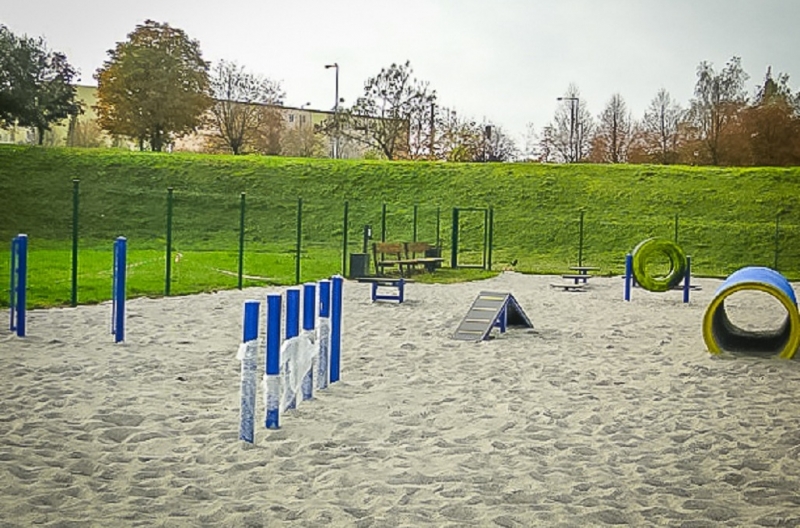 5/5 Psia polana w parku Górczyńskim