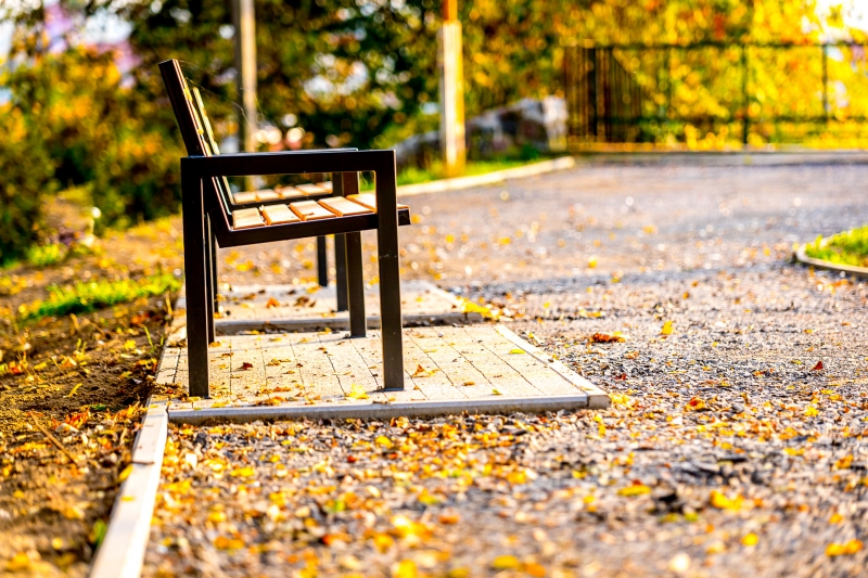 3/9 Park Siemiradzkiego zmienia swoje oblicze