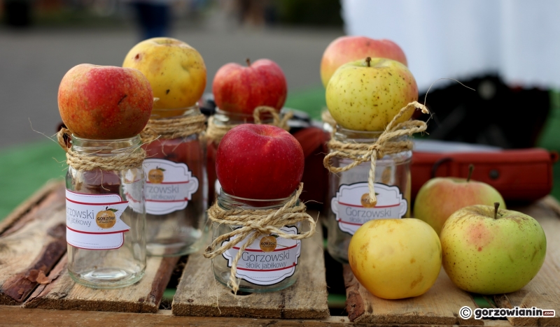 3/5 Festiwal dyni i chryzantem