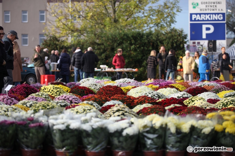 5/5 Festiwal dyni i chryzantem