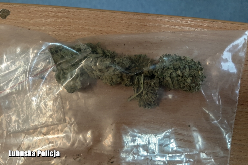 3/6 Zatrzymany kierowca audi