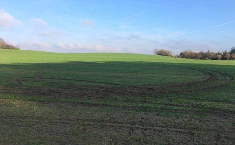 7/9 Porzucone audi na polu