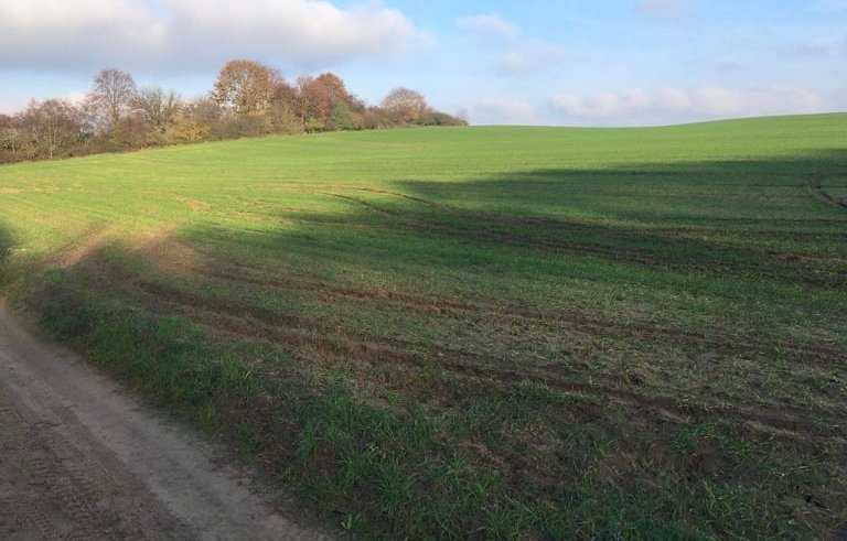 9/9 Porzucone audi na polu