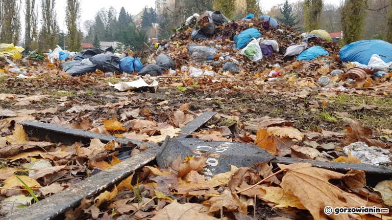 9/15 Hałda śmieci na cmentarzu Świętokrzyskim