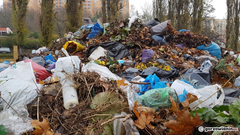 12/15 Hałda śmieci na cmentarzu Świętokrzyskim