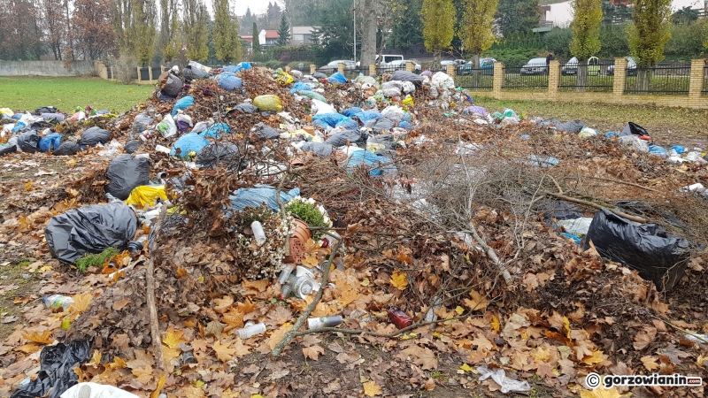 13/15 Hałda śmieci na cmentarzu Świętokrzyskim