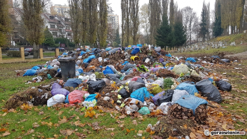 14/15 Hałda śmieci na cmentarzu Świętokrzyskim