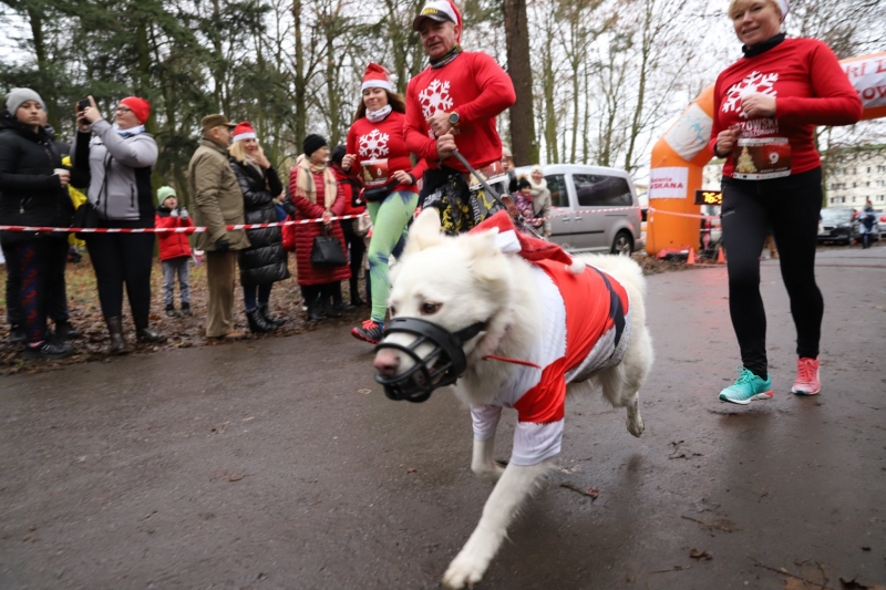 3/17 Gorzowski Bieg Gwiazdkowy