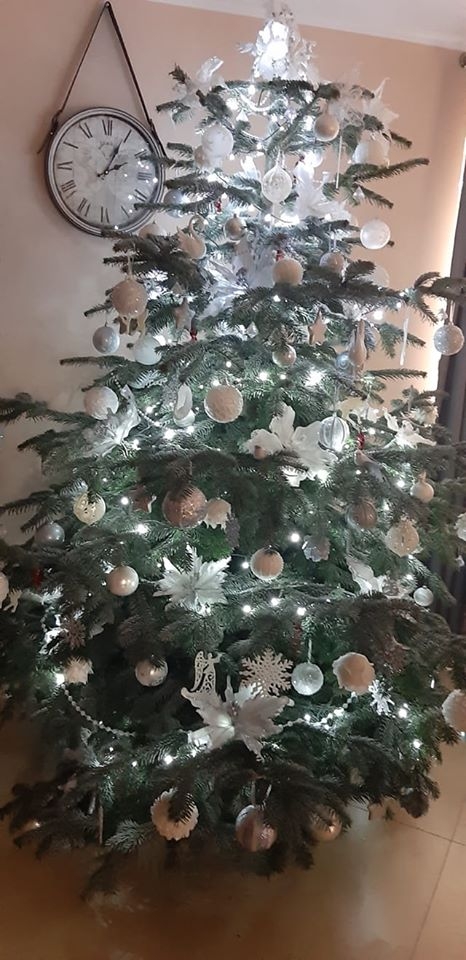 3/22 Choinki czytelników portalu gorzowianin.com