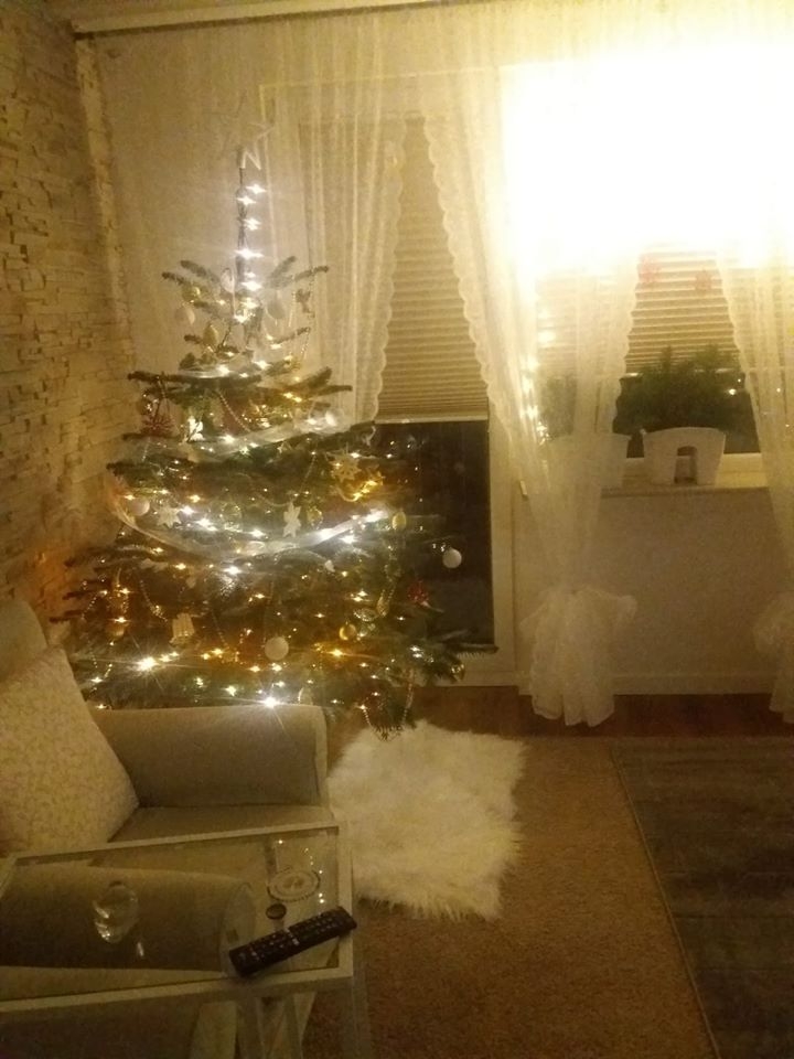 6/22 Choinki czytelników portalu gorzowianin.com