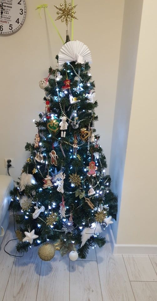 7/22 Choinki czytelników portalu gorzowianin.com