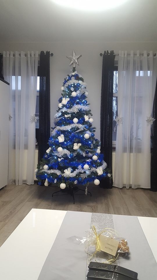 10/22 Choinki czytelników portalu gorzowianin.com